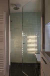 赫瓦尔Penthouse in old Dalmatian house - Flybridge的浴室设有绿色瓷砖和玻璃淋浴间