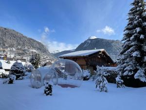 莫尔济讷Hotel Bel'alpe的屋前雪中的一个冰屋
