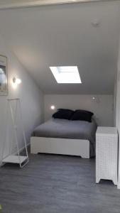 Ancy-sur-MoselleStudio rénové et équipé 2 personnes Le canardeau的一间卧室配有一张床和天窗