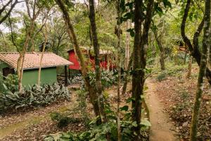 马卡科斯贝托猴子小木屋的森林中间的红绿房子