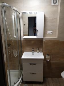 古尔贝内Swan City Apartment的一间带水槽和淋浴的浴室