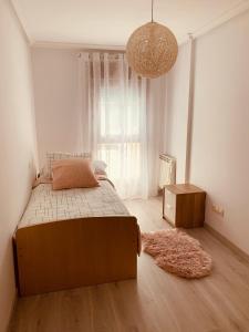 费莱乔萨Apartamento Rio San Isidro 1的一间卧室设有一张床和一个大窗户