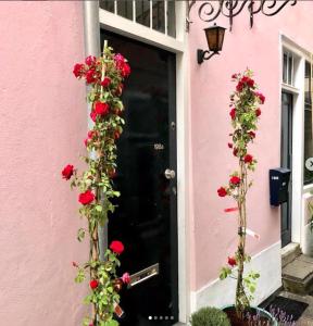 海牙Bookstor Hotel的粉红色房子上一扇红玫瑰的黑色门