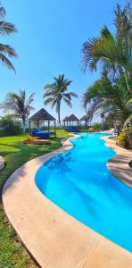 阿卡普尔科Bungalows Las Brisas Acapulco的棕榈树环绕的度假村游泳池