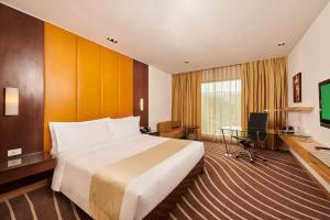 孟买孟买国际机场假日酒店的酒店客房设有一张大床和一张书桌。