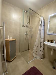 迪马诺卡多林纳Apartment No.28 Jasná的一间带玻璃淋浴和水槽的浴室