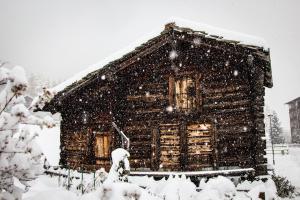 萨斯费豪斯贝尔维尤公寓的雪暴中的小木屋