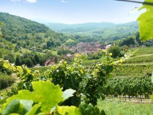 EpfigAppartement de 3 chambres avec jardin amenage et wifi a Epfig的相册照片