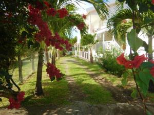 勒沃克兰Appartement de 3 chambres a Le Vauclin a 150 m de la plage avec piscine privee jardin amenage et wifi的种满红花的树上花园和房子