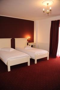 雅西天鹅绒旅馆的红地毯旅馆客房的两张床