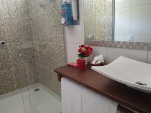 日若卡-迪热里科阿科阿拉Pousada Chez Loran lagoa do paraiso的浴室设有水槽和花卉淋浴台