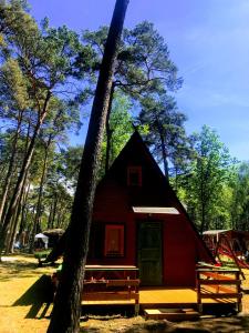 博格泽利卡Domki Letniskowe MAJA的森林中间的红色小屋