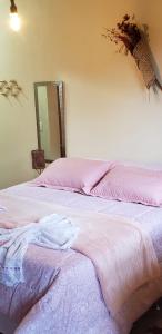 维奥康德马奥Chalés Canto do Pavão的一间卧室配有一张带粉色床单和镜子的床