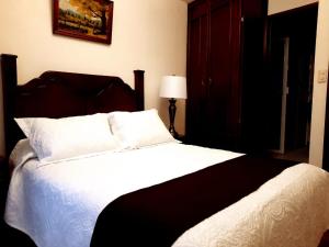 San Martín Texmelucan de LabastidaHotel Boutique La Albertina的卧室配有一张带白色床单和枕头的大床。