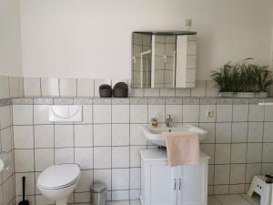 格雷芬海尼兴Ferienhaus Hase Bomsdorfer Hof的一间带卫生间和水槽的浴室