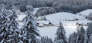 蒂蒂湖-新城Schwarzwaldblick的雪覆盖着雪覆盖的村庄