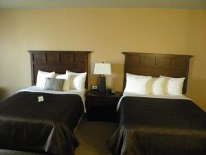 Watford CityTeddy's Residential Suites Watford City的酒店客房,设有两张床和一盏灯
