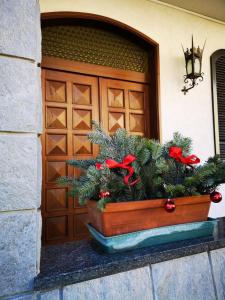 蒂拉诺Casa Vacanze - Residenza Elvezia的门前锅里的植物