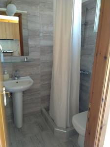 普拉蒂普拉蒂全景旅馆的一间带水槽、卫生间和淋浴的浴室