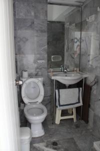 鲁特罗Hotel Porto Loutro on the Beach的一间带卫生间和水槽的浴室
