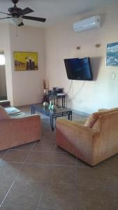 洛雷托Coco Cabanas Loreto的客厅配有2张沙发和1台平面电视