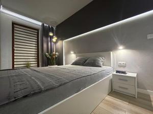 斯维诺乌伊希切4UApart-Apartment suite Platan Grey的一间卧室配有一张大床和一个床头柜
