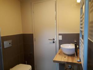 圣马丁德洛斯MONOAMBIENTE的浴室配有白色水槽和卫生间。