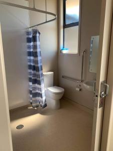 OwakaCatlins Inn的浴室配有卫生间、盥洗盆和淋浴。