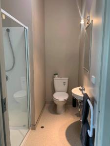 OwakaCatlins Inn的浴室配有卫生间、淋浴和盥洗盆。