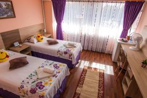 加拉茨Casa Paul的客房设有两张床和一个带紫色窗帘的窗户。