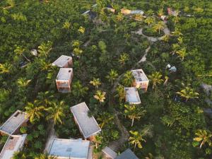 基济姆卡济Kizikula的享有棕榈树和别墅度假村的空中景致
