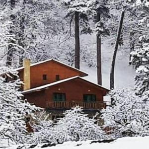 巴库里阿尼Villa B Barleon-Bakuriani的一座被雪覆盖的建筑,靠近一些树木