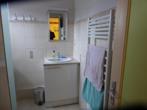 阿热莱斯加佐斯特Les Berges Du Gave D'azun的白色的浴室设有水槽和镜子