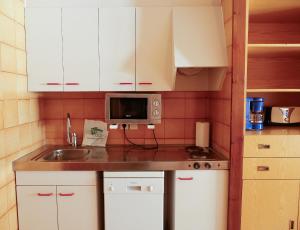 帕斯底拉卡萨Kione Paradís Blanc的一间带水槽和微波炉的小厨房