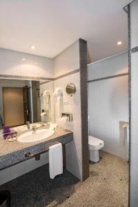 阿维拉帕拉多阿维拉酒店的一间带水槽、卫生间和镜子的浴室