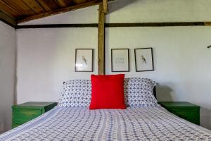 孔斯坦萨Villa Pajon Eco Lodge的一间卧室配有一张红色枕头的床