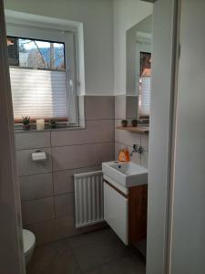 滕嫩山麓圣马丁Landhaus Theresia的一间带水槽和卫生间的浴室以及窗户。