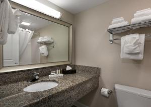 默特尔比奇默特尔海滩加勒比度假酒店的一间带水槽和镜子的浴室