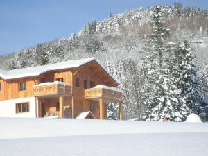 勒梅尼勒Comfy chalet with a dishwasher, in the High Vosges的山前雪地中的小木屋