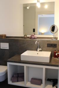 特希尔Hotel Leegerpark的一间带水槽、卫生间和镜子的浴室