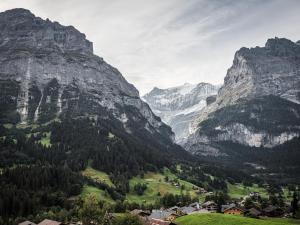 格林德尔瓦尔德Hotel Gletscherblick Grindelwald的相册照片