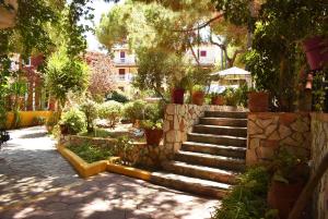 瓦西里科斯Kuris Studios & Apartments的花园里的一套楼梯,栽有盆栽植物