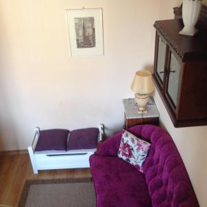 格但斯克Poddasze na Piwnej的客厅里带灯的紫色沙发