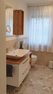 伦格里希Ferienwohnung zum Wohlfühlen的一间带水槽、卫生间和镜子的浴室