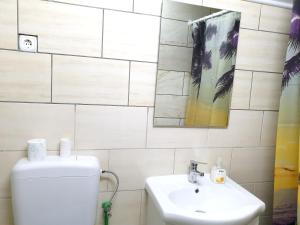 One bedroom appartement with furnished garden and wifi at Belisce的一间浴室