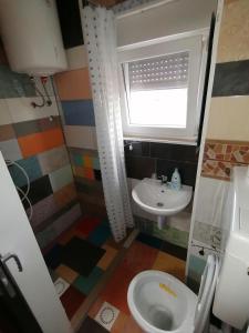 布雷日采Rooms Vila Medena的一间带卫生间和水槽的小浴室