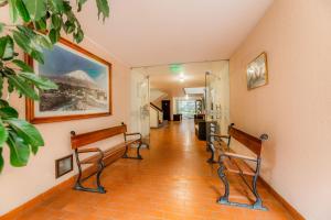 阿雷基帕Hotel Los Tambos Colonial的医院走廊上带两个长椅的走廊
