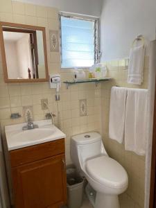 库埃纳瓦卡弗洛蕾丝花园酒店的一间带卫生间、水槽和镜子的浴室