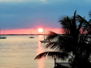 基拉戈凯拉戈湾畔旅馆的日落时分,在水中,在棕榈树下划船