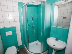 乌斯特龙艾勒梅尔普兰厄特酒店的带淋浴、盥洗盆和卫生间的浴室